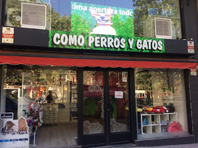 Como perros y gatos - Servicios para mascota en Madrid