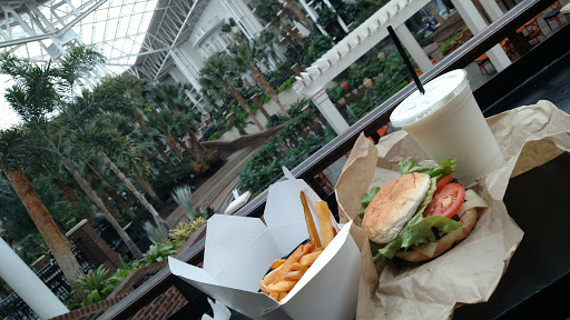 Hotel «Gaylord Opryland Resort & Convention Center», reviews and photos, 2800 Opryland Dr, Nashville, TN 37214, USA