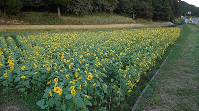 上分公民館