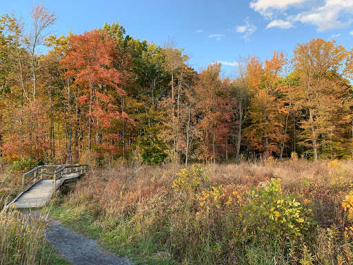 Hawthorn Hollow