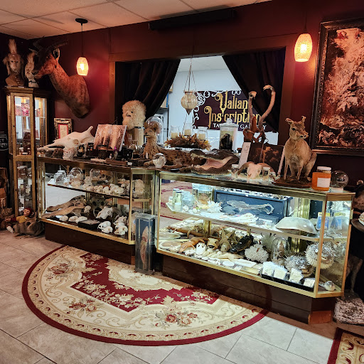 Explore sarah j maas tattoo ideas, creative tattoo ideas in Asheville, available at Dark and Deviant Oddities