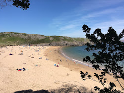 Photo de Barafundle Bay beach avec un niveau de propreté de très propre