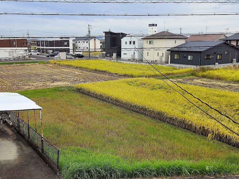 学研金平教室