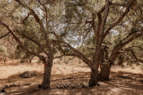 P.S. & Associates Event Planning - Photo 7 - Car repair in , Los Angeles