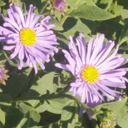 Park «Fremont Peak Park», reviews and photos, 4357 Palatine Ave N, Seattle, WA 98103, USA