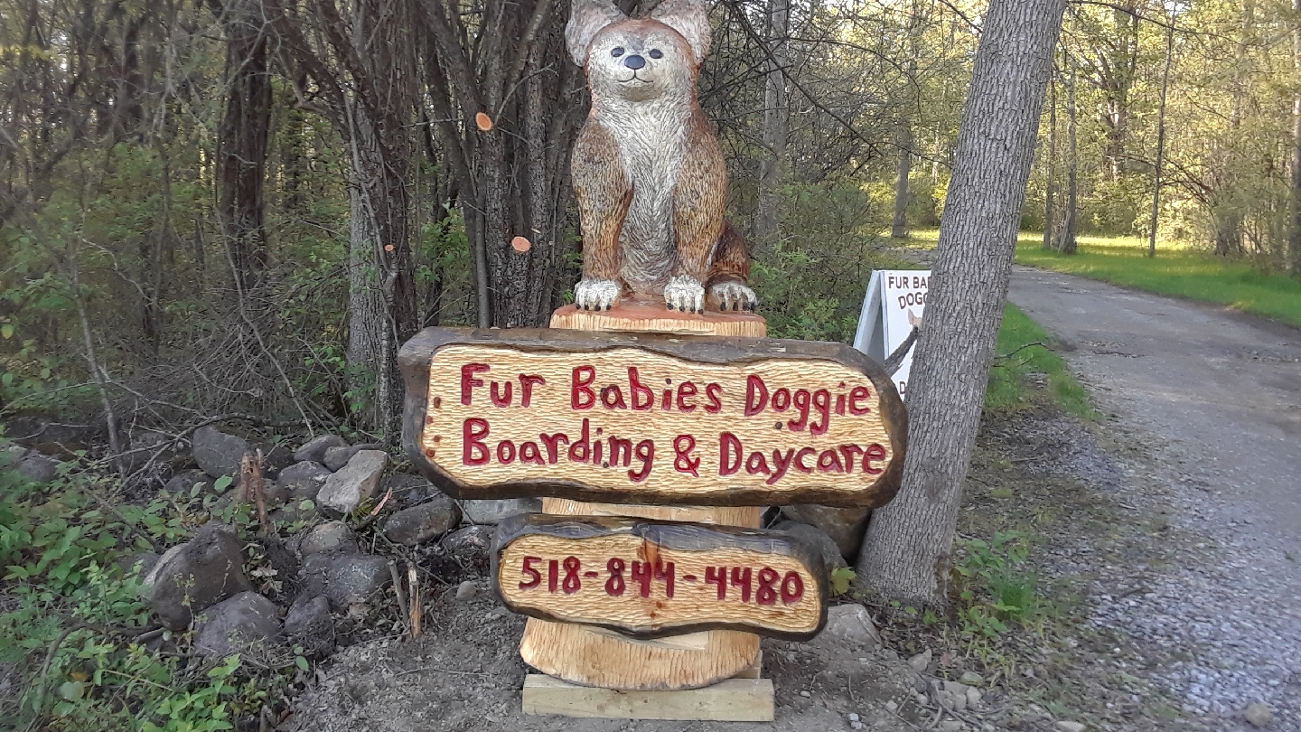Fur babies doggie boarding and daycare