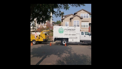 Forest Tree Services Inc.