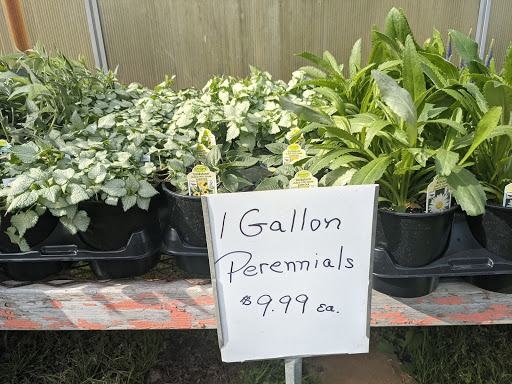 Wholesale Plant Nursery «Garden Fantasy», reviews and photos, 43250 Tyler Rd, Belleville, MI 48111, USA