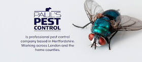 Paul's Pest Control