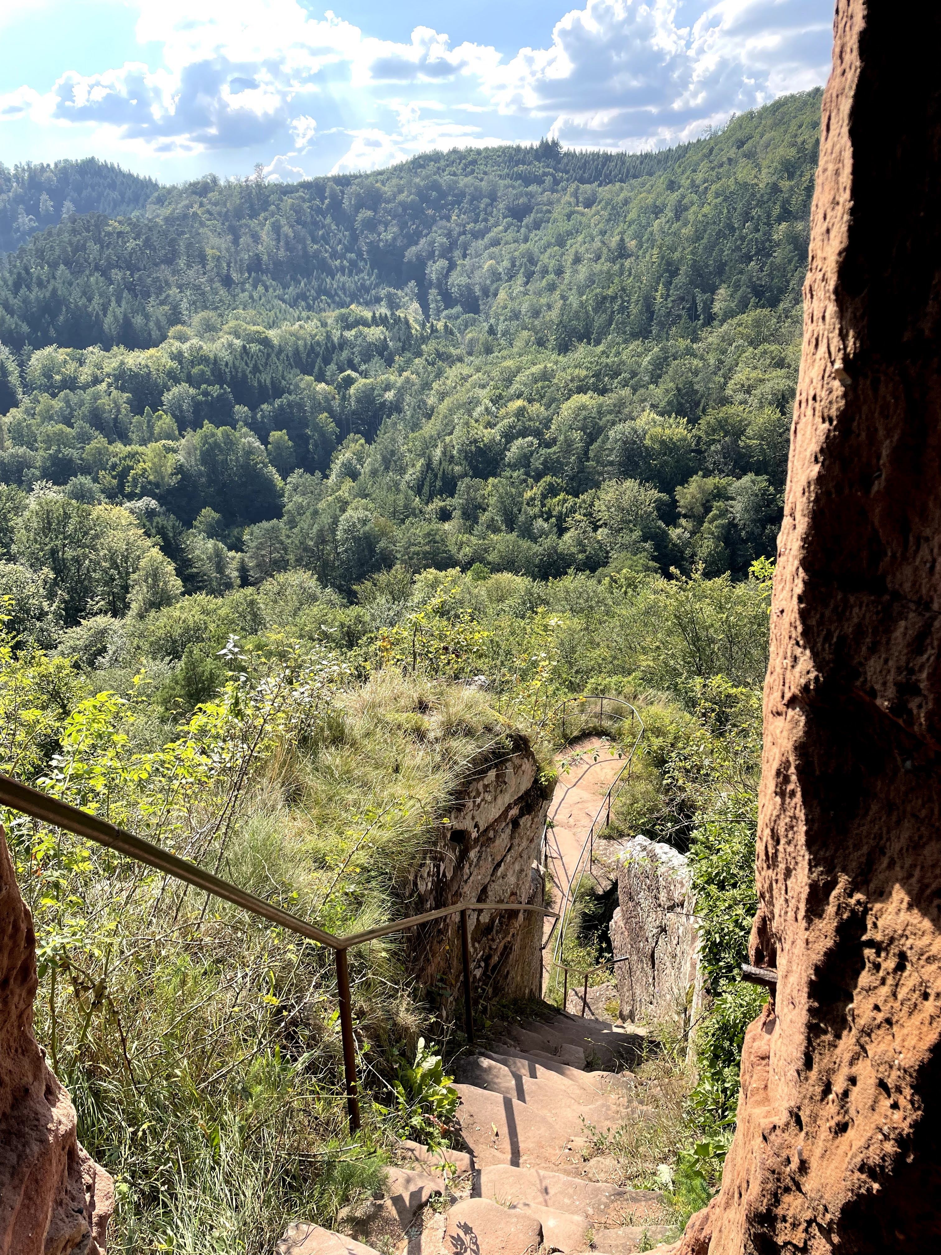 Photo n° 8 de l'avis de Tobi.s fait le 12/09/2021 à 23:40