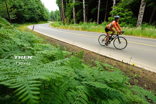 Bicycle Store «American Cycle & Fitness - The Trek Bicycle Stores of Michigan», reviews and photos, 18517 Hall Rd, Macomb, MI 48044, USA