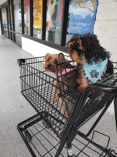 Pet Supply Store «Petco Animal Supplies», reviews and photos, 30697 US Hwy 19 N, Palm Harbor, FL 34684, USA