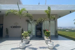 Calm Spa & Salon - Novotel Vijayawada image