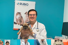 Rubio Pet Hospital