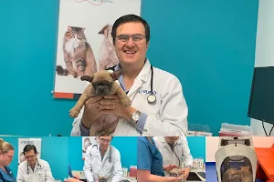 Rubio Pet Hospital image