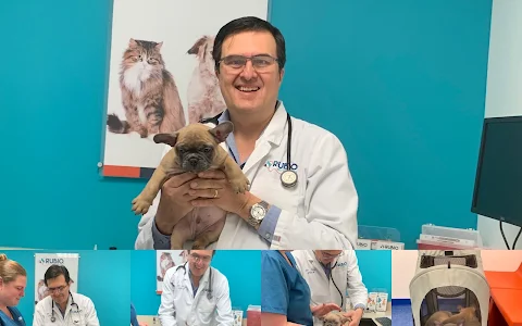 Rubio Pet Hospital image