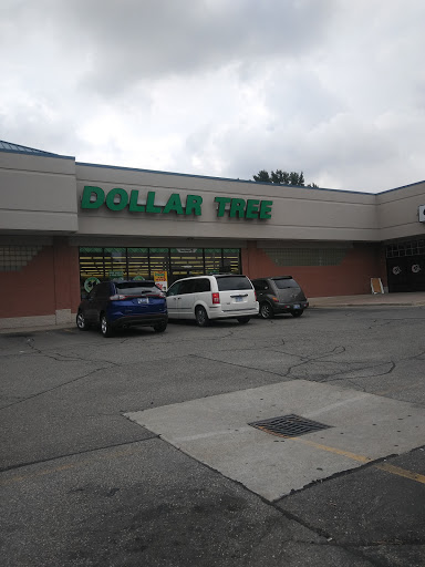 Dollar Store «Dollar Tree», reviews and photos, 46320 Van Dyke, Shelby Charter Township, MI 48317, USA
