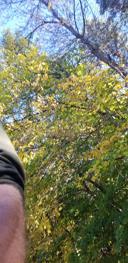 Campground «Baker Campground», reviews and photos, 2309 Baker Park Rd, Maple Plain, MN 55359, USA