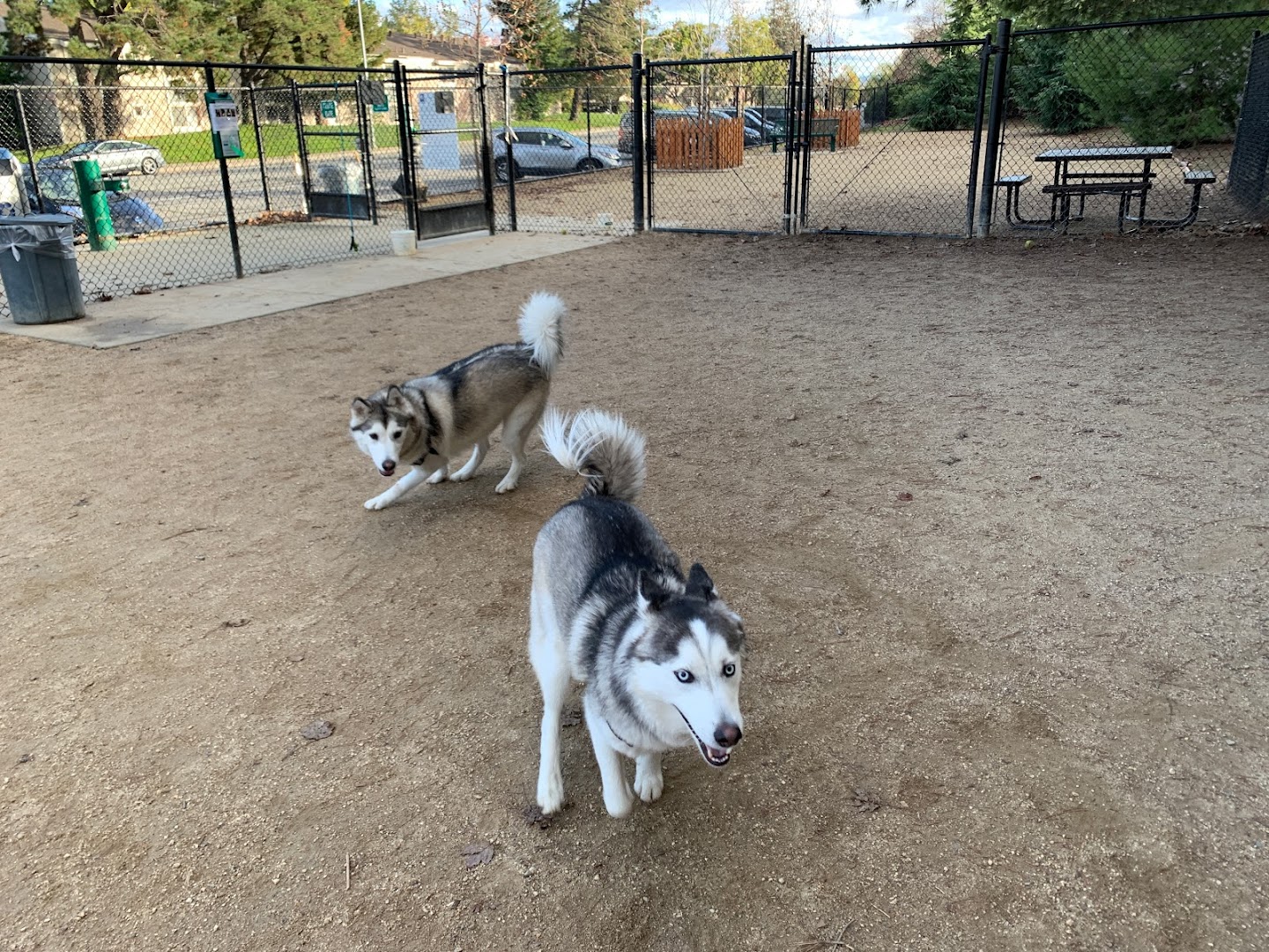 Mary Avenue Dog Park