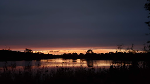 Nature Preserve «Bode Lake», reviews and photos, Bode Rd, Streamwood, IL 60107, USA