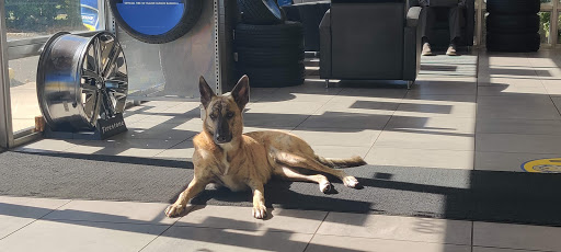 Pet Supply Store «Pet Partners», reviews and photos, 1962 W State St, Bristol, TN 37620, USA