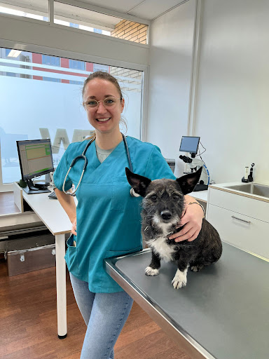 Tierarztpraxis Weiden unter Cologne, Nordrhein-Westfalen