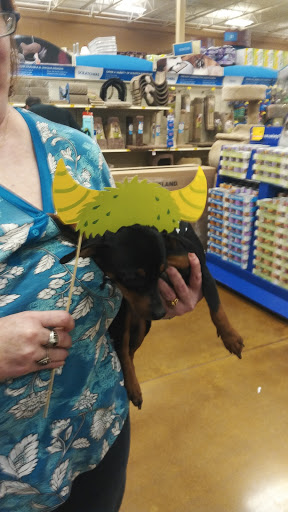Pet Supply Store «PetSmart», reviews and photos, 2940 Chapel Hill Rd, Douglasville, GA 30135, USA