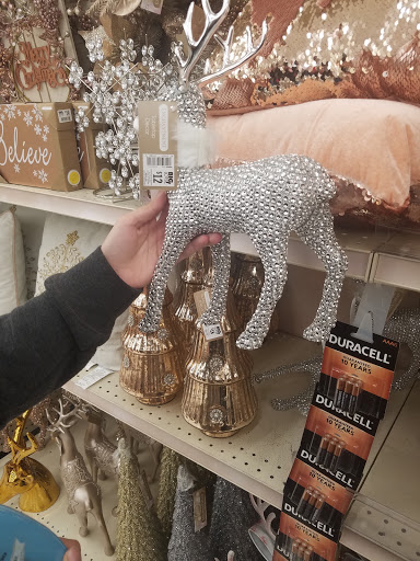 Discount Store «Big Lots», reviews and photos, 2110 S Cooper St, Arlington, TX 76013, USA