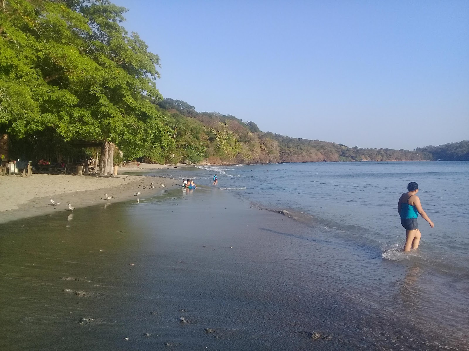Achotines Beach photo #9