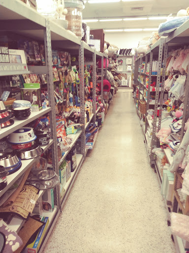 Home Goods Store «Tuesday Morning», reviews and photos, 1799 US-1, St Augustine, FL 32084, USA