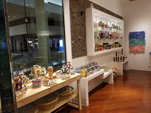 Shopping Mall «Tucson Mall», reviews and photos, 4500 N Oracle Rd, Tucson, AZ 85705, USA