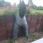 Photo n°1 de l'avis de Andreas.c fait le 01/08/2021 à 18:42 sur le  Bella Italia à Dannstadt-Schauernheim