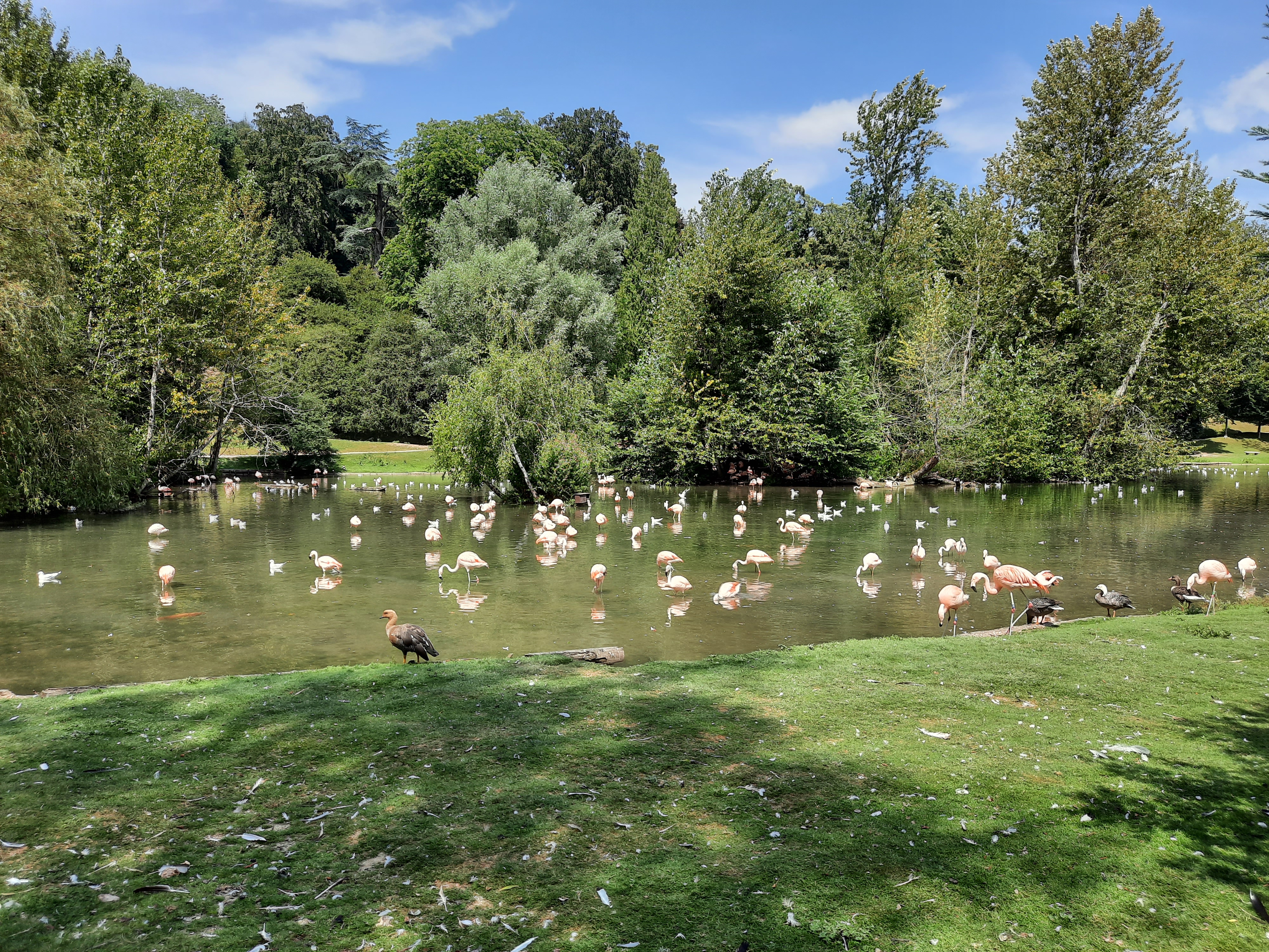 Photo n° 2 de l'avis de F. fait le 31/07/2020 à 21:19