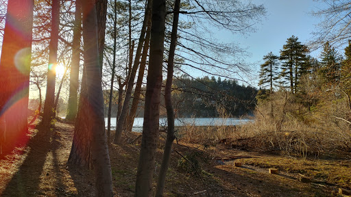 Water Park «Lake Gregory Regional Park», reviews and photos, 24171 Lake Dr, Crestline, CA 92325, USA