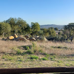 Photo n°33 de l'avis de Gretabeta1964. fait le 16/12/2021 à 14:48 sur le  Sobreiras - Alentejo Country Hotel à Grândola