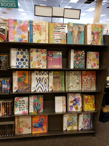 Book Store «Books-A-Million», reviews and photos, 9400 Atlantic Blvd, Jacksonville, FL 32225, USA