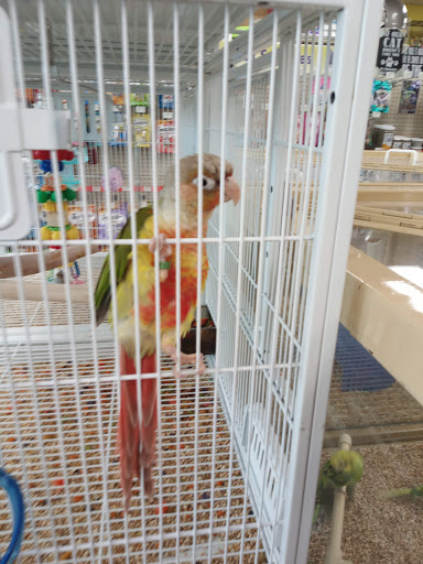 Pet Supply Store «Pet Supermarket», reviews and photos, 11160 Panama City Beach Pkwy #402, Panama City Beach, FL 32407, USA