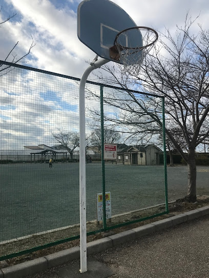 豊田東原梅ノ木公園 バスケットボールコート