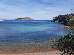Calanque de Mugel'in fotoğrafı çok temiz temizlik seviyesi ile