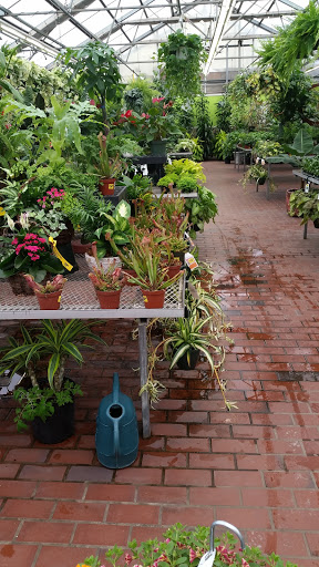 Garden Center «Sixteen Acres Garden Center», reviews and photos, 1359 Wilbraham Rd, Springfield, MA 01119, USA