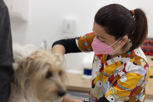 Ancana • Clínica Veterinaria en Huelva