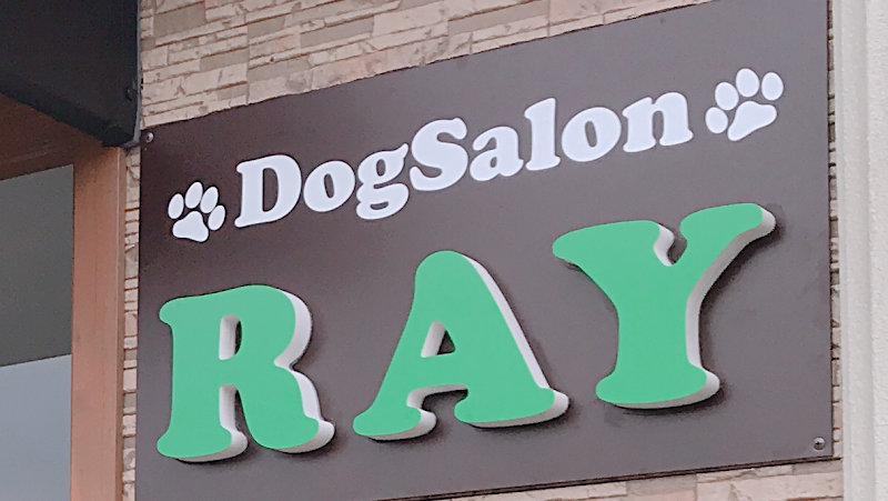 dog salon RAY ?