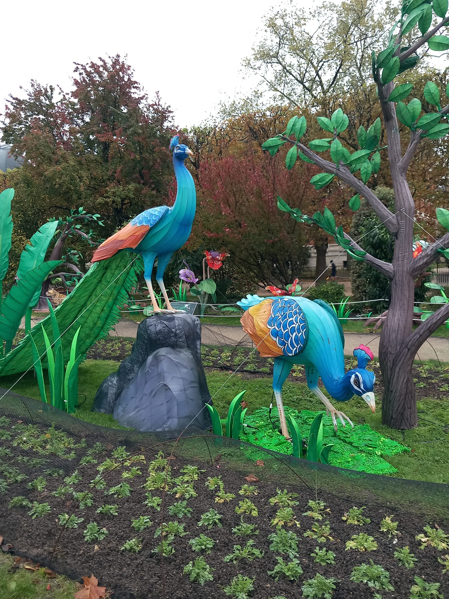 Photo n° 2 de l'avis de Fred.a fait le 14/11/2023 à 18:17
