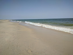 Photo de Playa de Matalascanas zone des équipements