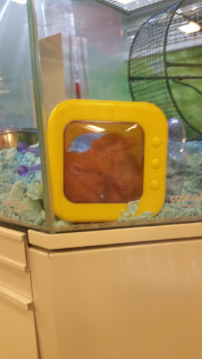 Pet Supply Store «PetSmart», reviews and photos, 2861 Veterans Memorial Pkwy, St Charles, MO 63303, USA