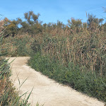 Photo n° 5 de l'avis de mylène.o fait le 21/10/2022 à 20:51 pour Parc Ornithologique du Pont de Gau à Saintes-Maries-de-la-Mer