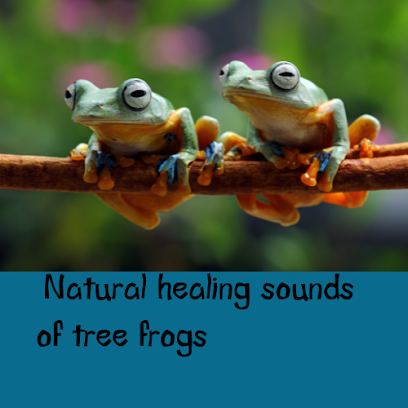 Soothing Sounds Of Natures Earth