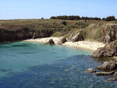 Agence de l'ile à L'Île-d'Yeu