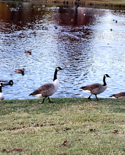 Recreation Center «Joe Farmer Recreation Center», reviews and photos, 1201 E Bethany Dr, Allen, TX 75002, USA
