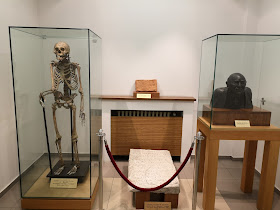 Национален антропологичен музей